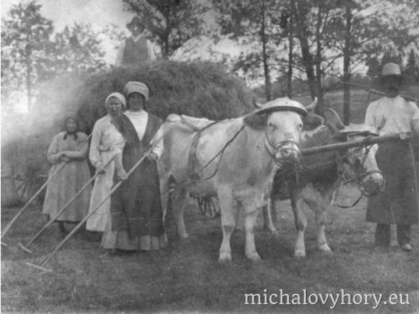 Rolníci z mlýna. Někde zapoměli traktor